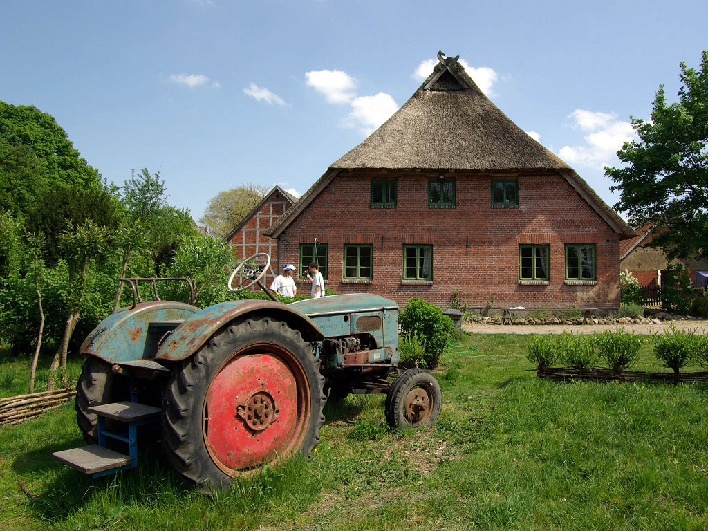 Ein alter Traktor steht auf der grünen Wiese vor dem Reetdachhaus
