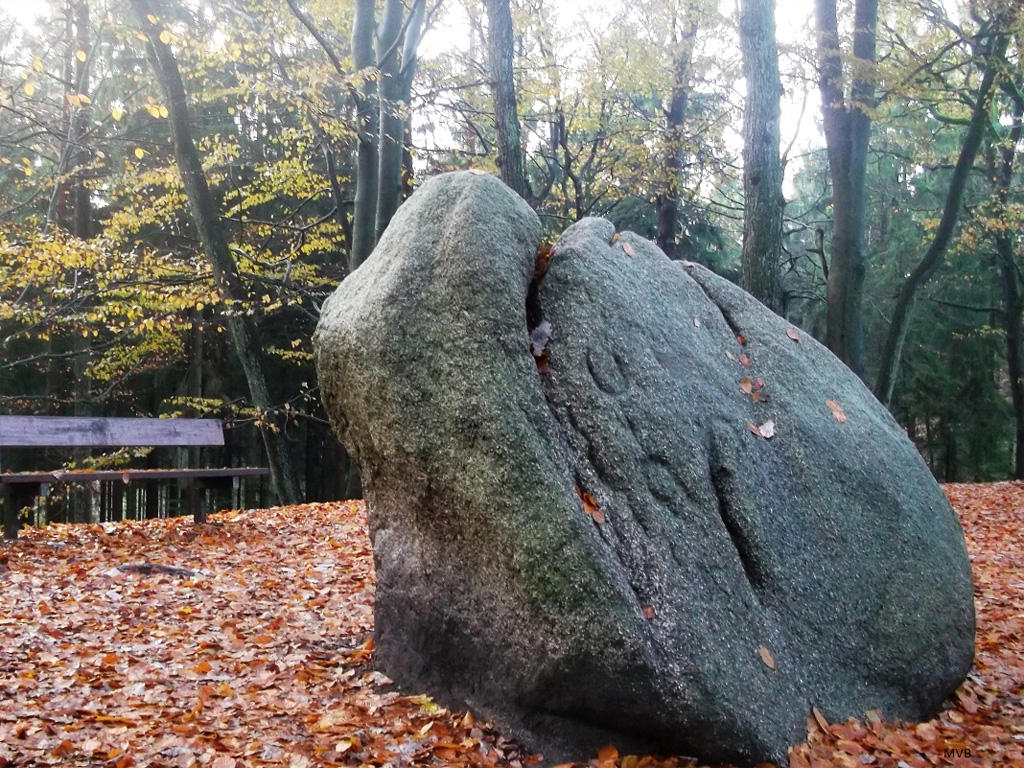 Großer eiszeitlicher Granitfindling auf einer waldreichen Anhöhe im Regionalpark Rosengarten.