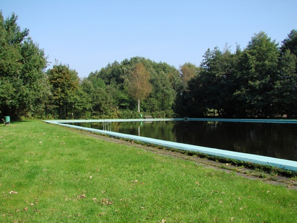 Badeteich mit blauem Beckenrand und grüner Wiese