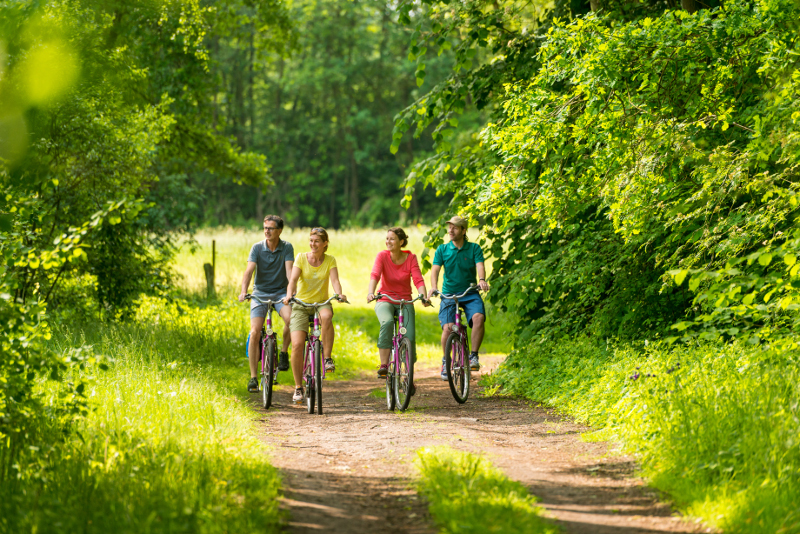 Vier Personen fahren Fahrrad durch die Landschaft
