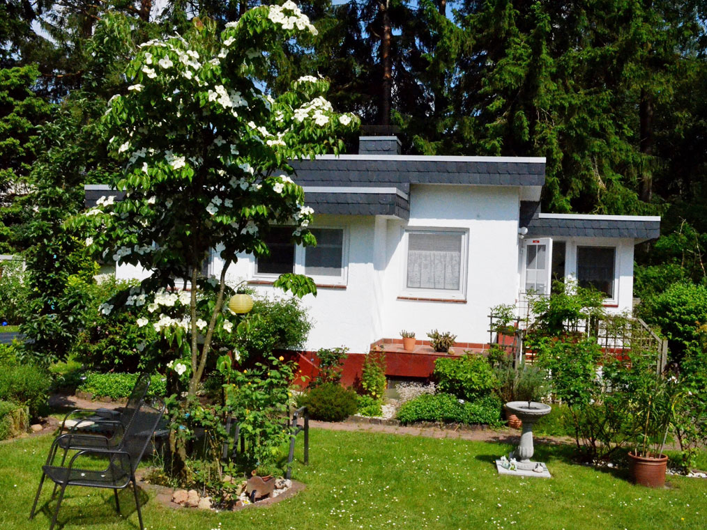 Kleines Flachdachhaus in grünem Garten mit vielen Pflanzen und Sträuchern