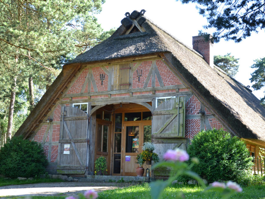 Heidefläche - Fischbeker Heide - Regionalpark Rosengarten