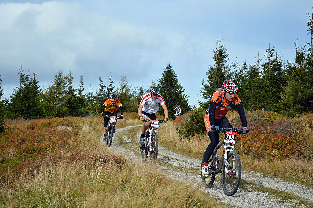 Fahrradfahrer in der Lüneburger Heide. Öffnet Seite: Aktiv und Erleben 