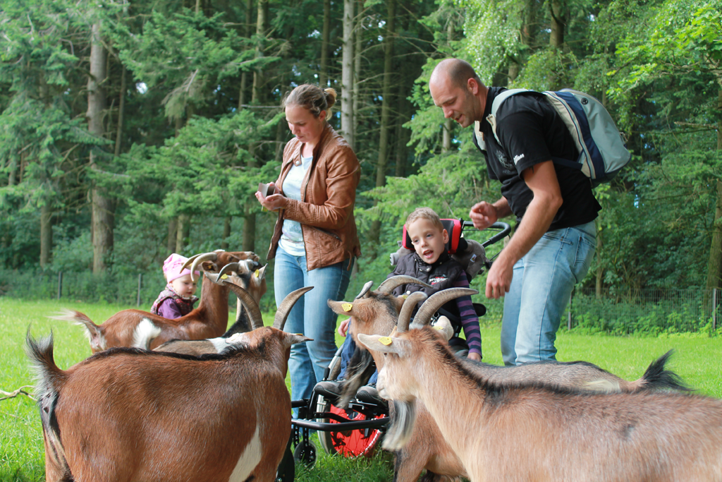 Eine Frau, ein Mann und ein Kind im Rollstuhl füttern Ziegen auf einer grünen Wiese im Wald