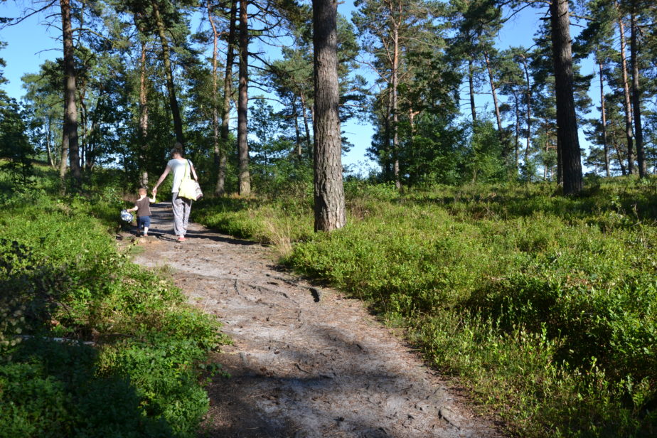 Junge Frau geht mit Kind an der Hand auf einem Sandweg durch den Wald