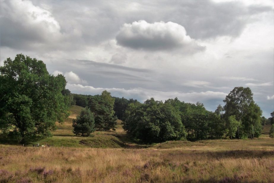 Dichte Wolken über der Fischbeker Heider