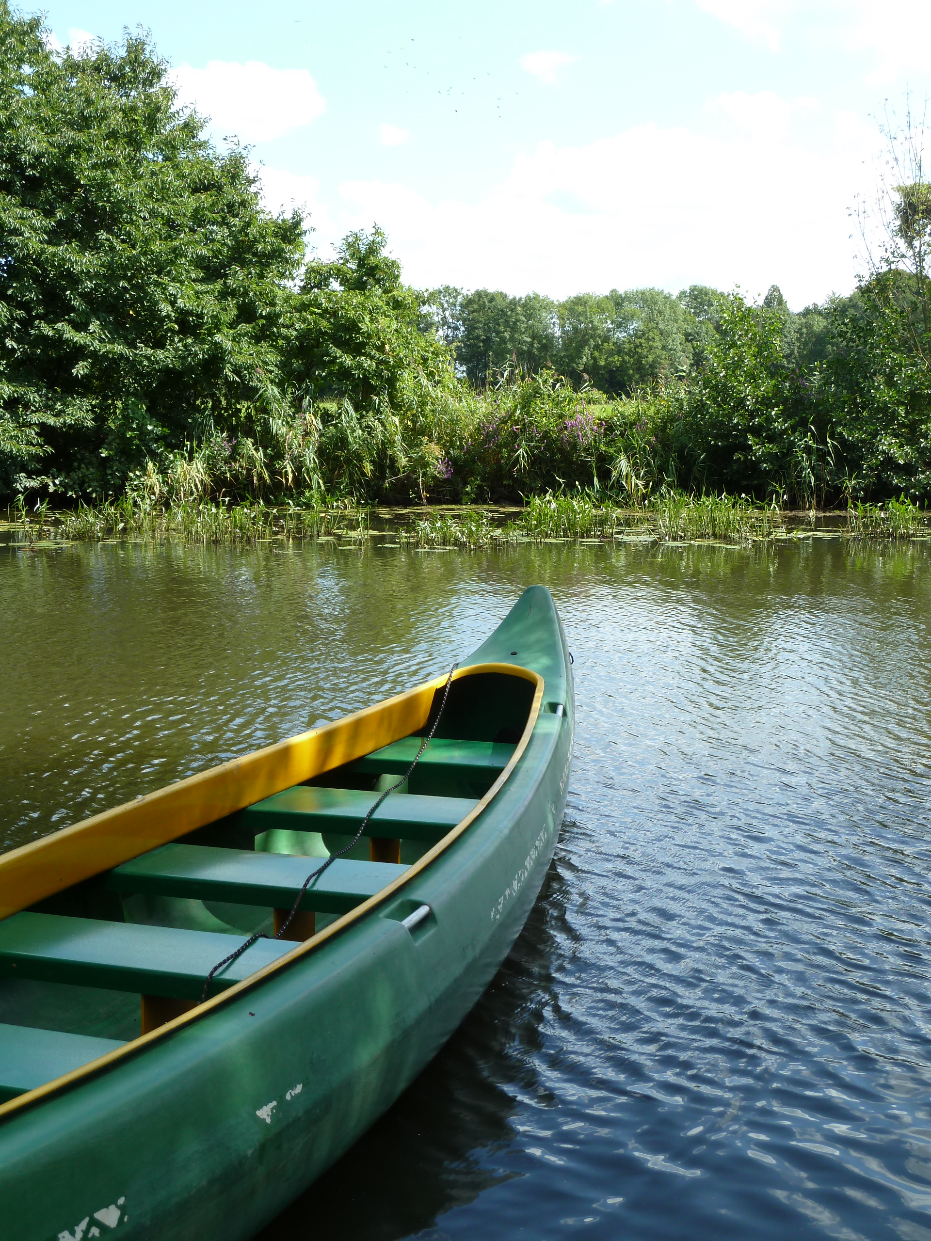 Kanufahren auf der Seeve