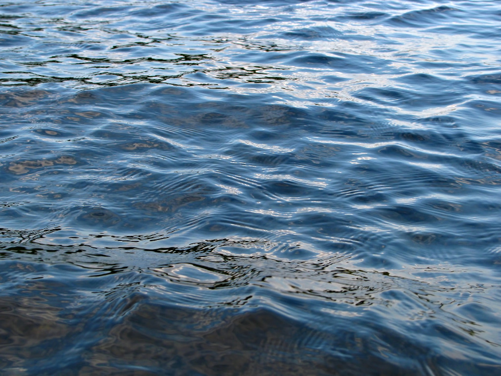 Frau schwimmt im See